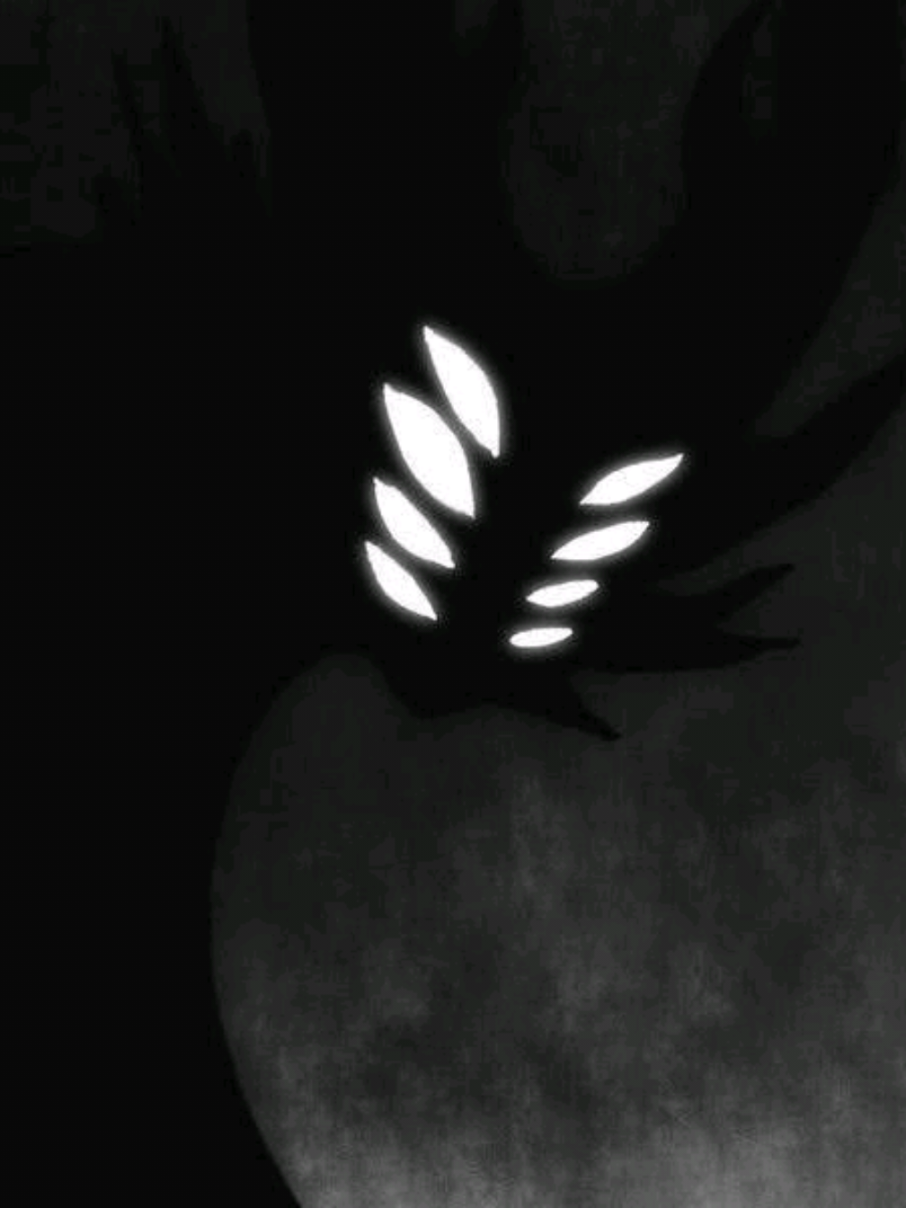 Em homenagem ao @Liamcezar                                                                   #hollowknight #tipografia #edit 