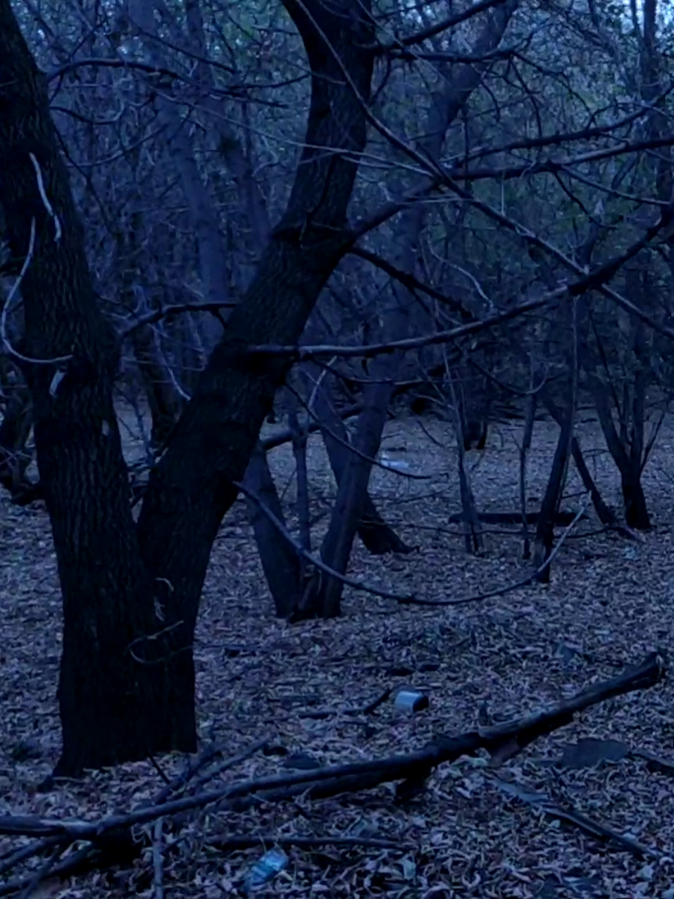 There are many ideas that happiness depends on external circumstances or the number of people in our lives. However, being alone does not necessarily mean being unhappy. For many people, being alone becomes a source of inspiration, self-determination, and deep understanding of themselves.    The first thing to understand is that 