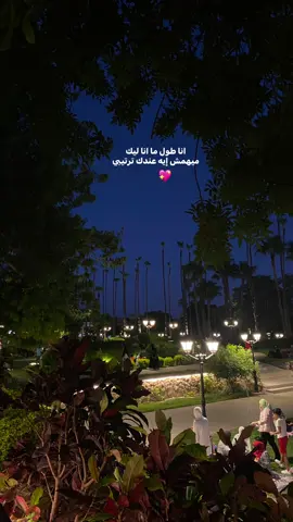 #tiktok #CapCut #النون #viral #fyp 