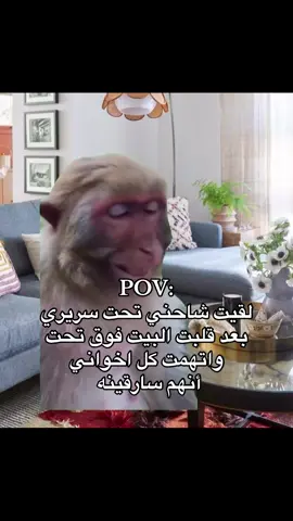 #حيدروف🇦🇪 