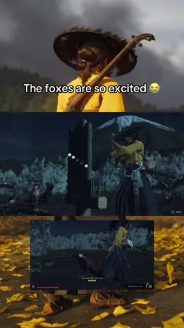 My biggest supporters 😂 #ghostofyotei #ps5 #gaming #fox #fyp 