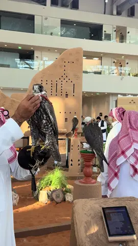 #Foryou #معرض_الصقور_والصيد_السعودي_الدولي #الرياض #🌷 #explore 