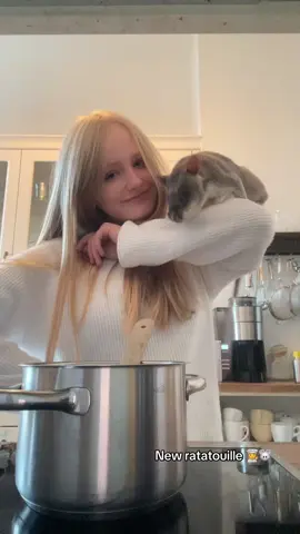 Ratatouille 2.0🐭👩‍🍳#fyp #pouchedrat #ratatoille🐭 #gehviral #gambiariesenhamsterratte 