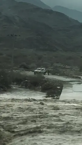 #الوطن#دون #حده 