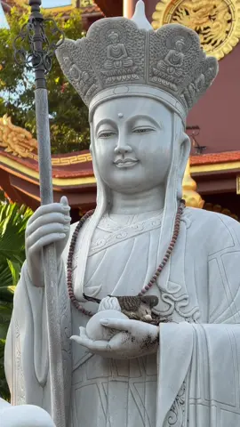 Loài chim còn nương nhờ cửa Phật 🙏#phạtphapnhiemmau #phatphap #xuhuong 