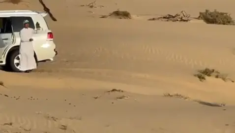 #explore #اكسبلور#هدد #شاهين#لايكات 