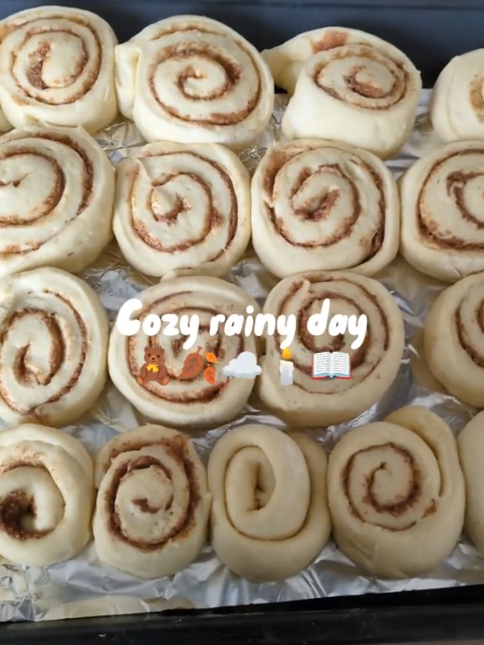 Une journée pluvieuse toute douce 🍂 #fallaesthetic #slowliving #cosyseason #autumnvibes #cosyvibes 