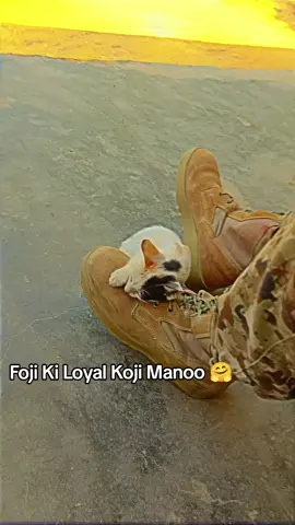 MaNoo 😺 ❤️#foojii110 #army #ssg #fyp #1millionaudition 