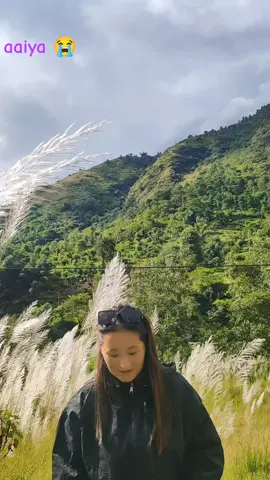 #taplejung_muser♡🍁💟 #viralsongstiktok #❣️❣️❣️❣️❣️❣️❣️❣️❣️ #taplejung_muser♡🍁💟 @Anupa_limbu🧑‍⚕️🐷 
