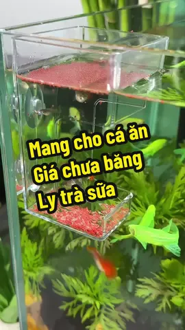 Máng cho cá ăn , tiện dụng , giá rẻ #xuhuong #nuoica #phukiencacanh #thuysinh 