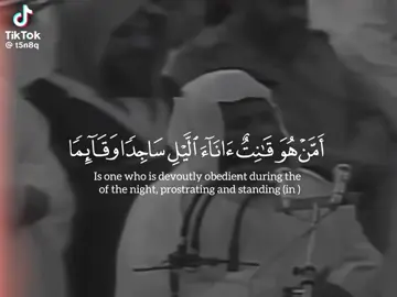 #محمد_ايوب #سورة_الزمر #قران #قرآن_کریم #الحمدالله_دائماً_وابداً