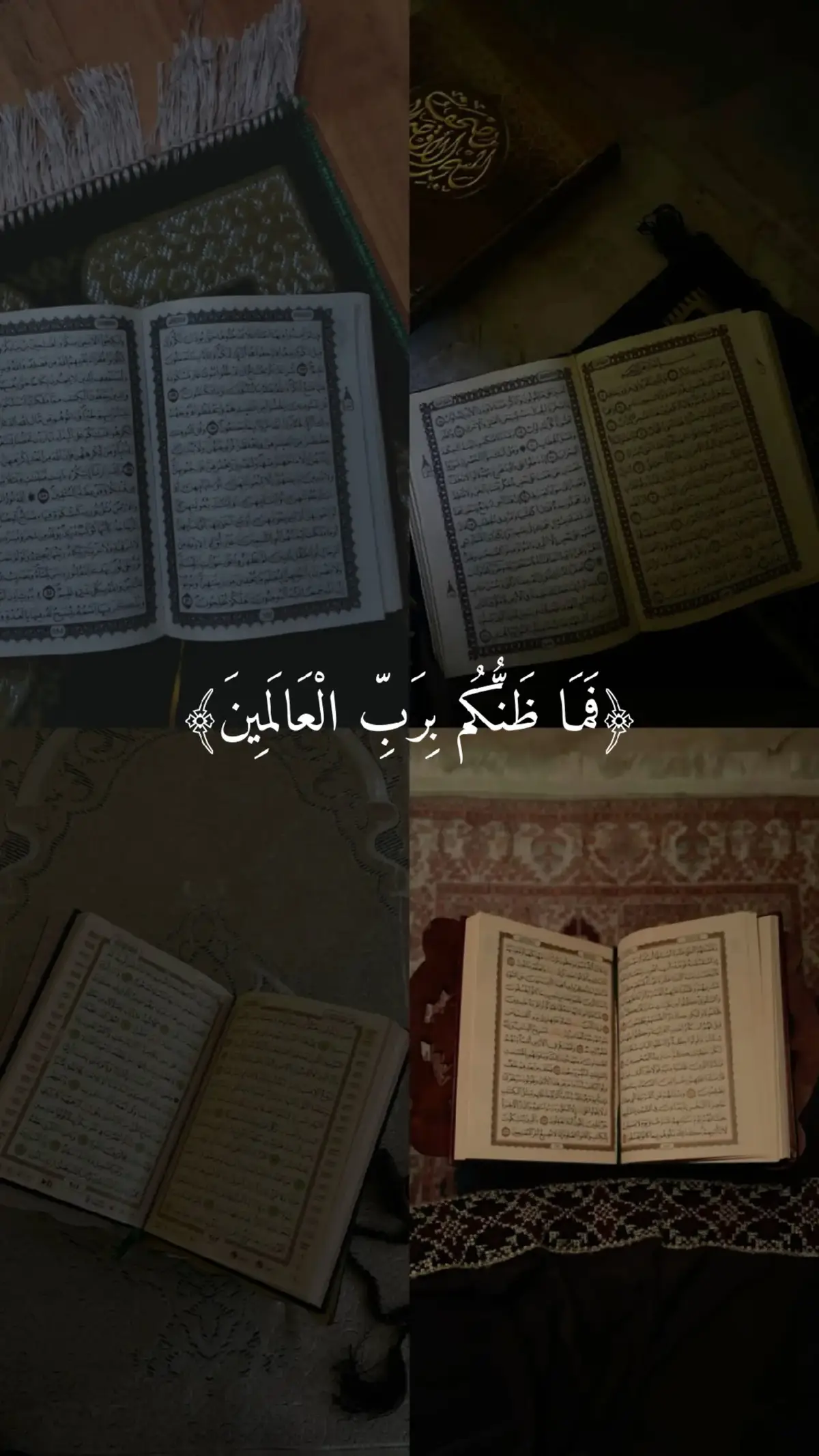 #رزكار_الكردي #قرآن #قران_كريم #parati #القران_الكريم_راحه_نفسية😍🕋 