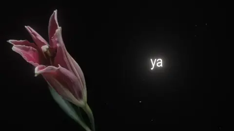 bunu bir düşünün..🌺 #aesthetic #lyrics #Love #motivation  #life 