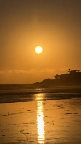 skin. sand. sun. sweat. sea. all things frankies. tuesday. october 7th. 