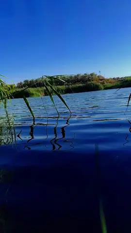 صدك شفت النهر بس ما شربت الماي الشاعر الراحل سمير صبيح  #شعروقصايد #شعراء_وذواقين_الشعر_الشعبي🎸 #سمير_صبيح❤️ #تصويري_احترافي_الاجواء👌🏻🕊😴 #ذواقين__الشعر_الشعبي 