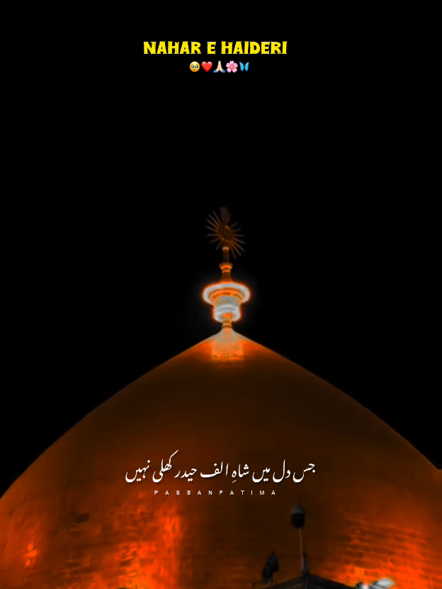 اس زندگی پہ لعنت جس میں علی نہیں 🙌🏻✨#yaali #shiastatus #foyoupag #ali_walihu #growmyaccount 
