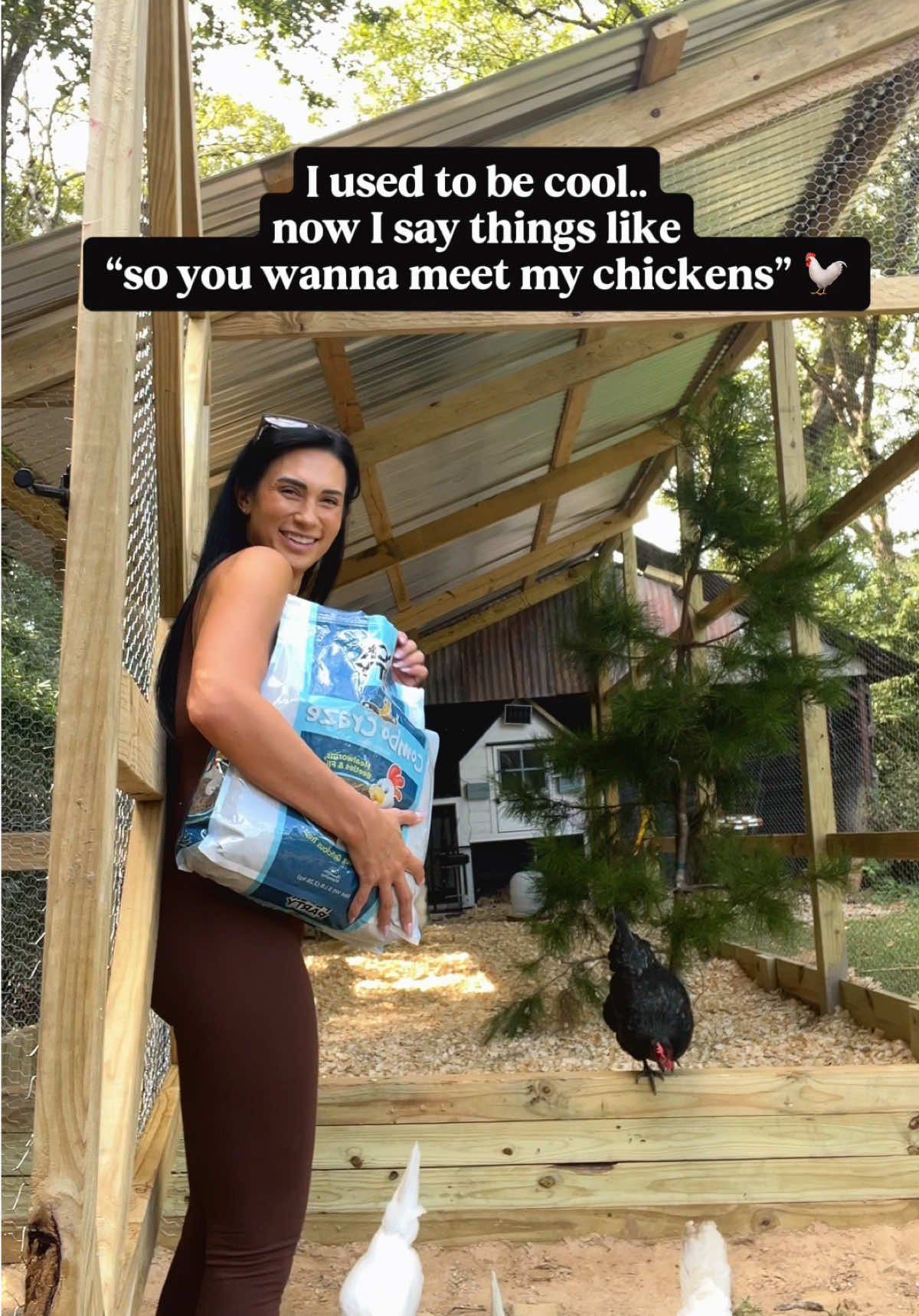 #pets #PetsOfTikTok #animals ❤️🐓