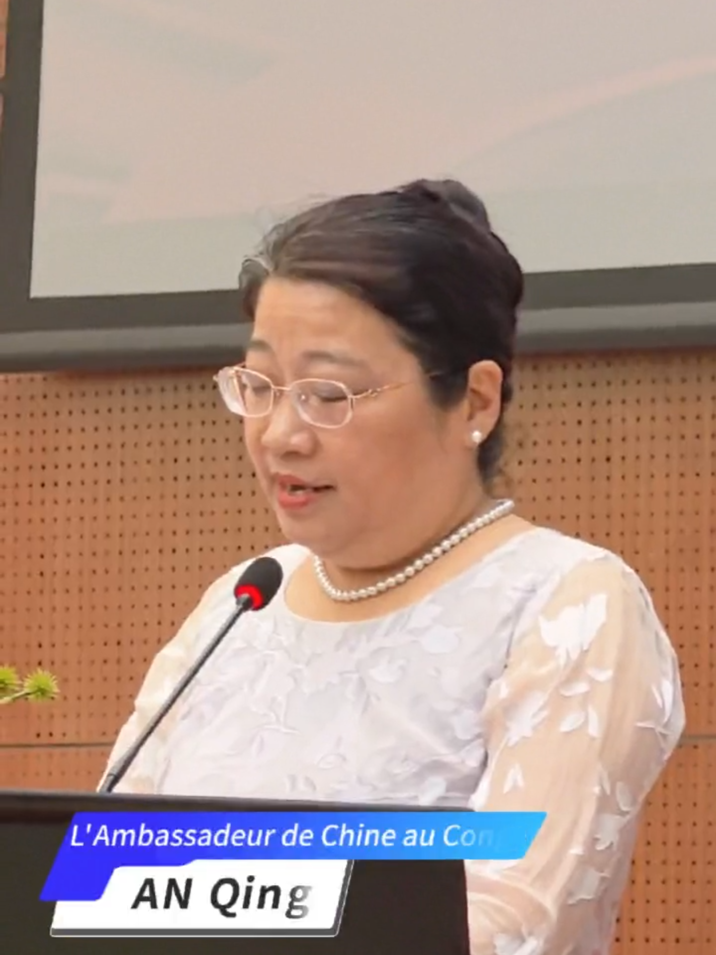 La #réunification complète de la #Chine est l’#aspiration commune de tous les #Chinois à travers le #monde – une aspiration que personne ni aucune force ne saurait entraver.  祖国完全统一，是全体中华儿女的共同愿望，是任何人任何势力都不能阻挡的。