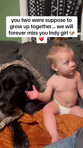 The bestest doggie there ever was. 💔 #fyp #greenscreenvideo 