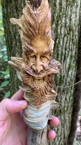 “Untamed” is my newest wood carving in a Pine knot :) #woodcarving#woodartideas#handwoodcarving#artistsoftiktok 