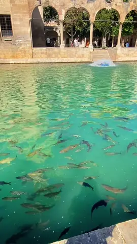 #keşfet #fyppppppppppppppppppppppp #storylikvideolar📌 