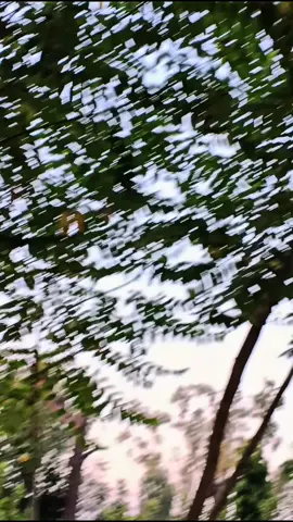 @🆁🅰🅹🅰❤乂 @👑راجہ منان جنجوعہ 😎✨ #foryou #jindjaan 