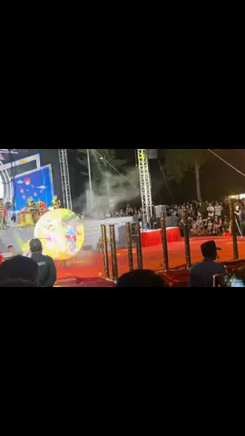 Bắc Lân Đường múa mai hoa thung tại #congvienhaiphong #baclanduong_haiphongcity 