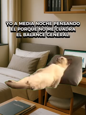 🧠💤 Yo a medianoche: ¿Y si el problema del balance está en esa factura que metí en gastos varios?📉😩 También yo, 3 horas después, viendo el techo: 👉 “Ya mejor me cambio de carrera…” 🤣🤣🤣 #parati😜👍😄😄 #videoviral #humor🤣🤣 #contadores📊