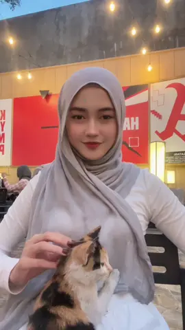 meng 😻❣️#catlover #foryoupage #fyp 