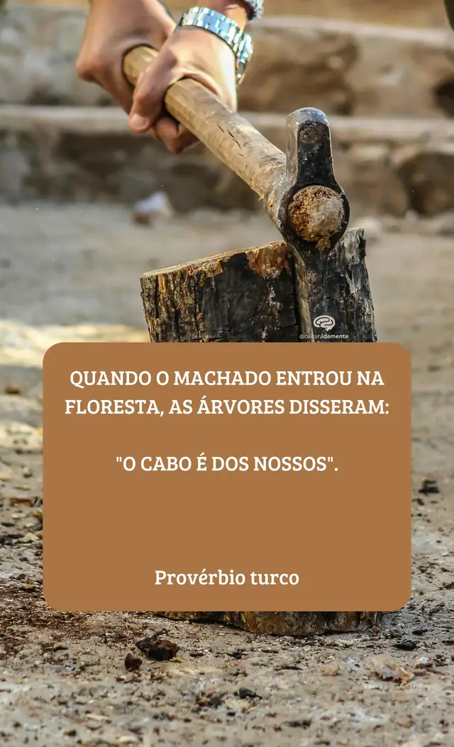 ✨ “Cuidado: nem sempre o perigo vem de fora. Muitas vezes, ele se disfarça de amigo.” #fy