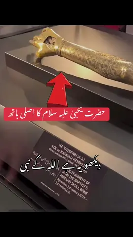 Real hand of hazrat yahya a.s#trustonAllah #foryou#fyp #200k 