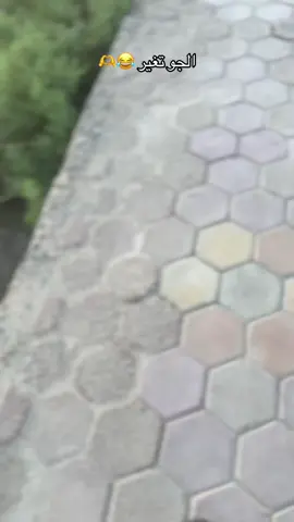 مشتاقين عيني ✨🤍… #الزبيديهه_811💙🖇️  #تصويري_احترافي_الاجواء👌🏻🕊😴 #الشعب_الصيني_ماله_حل😂😂 #لايكات #الزبيديه👑🖇 