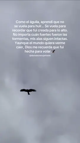 Mujer, no fuiste creada para arrastrarte… fuiste creada para volar, aunque duela, aunque temas. Tu fuerza no viene de lo que dejaste atrás, sino de lo que Dios tiene preparado adelante.🦅✨ #DiarioDeUnaMujerFuerte #MujeresFuertes #FuerzaInterior #Reflexion #ParaTi 