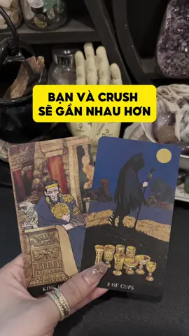 Bạn và crush sẽ gần nhau hơn #tarotbyduong #tarotviral #manifest #xemtarot #thongdiep 