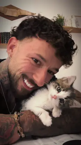 Tellement de mignonnerie par ici🐱, mon petit Maïkan ❤️‍🔥