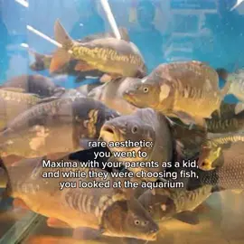 #rareaesthetic #lithuania #fyp #fish #щитпост 