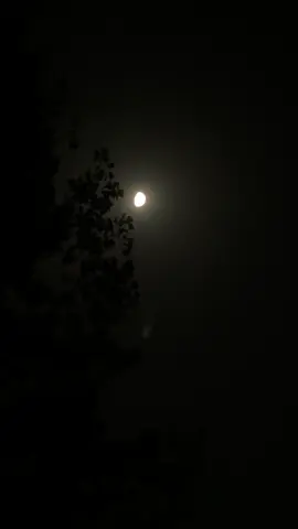 Singer Name ? X Ghani khan baba 🫀🍷 #ghanikhanbabapoetry  #ghanikhanbaba #ghanikhan #pashto #pashtoghazal 