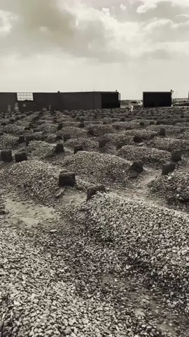 فرشي التراب 🌸 . . . . . #فرشي_التراب_يضمني_وهو_غطائي⚰️ #اناشيد_اسلامية #islamic_video #fyp 