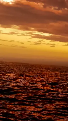 #angmar05 #bizmawn🎵🎶 #تامري_عاصمة🍌🍌🍌❤️❤️ #اكادير❤️ #إحاحان❤️✌️ 