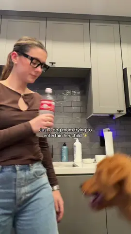 Just a girl trying to entertain her golden retriever puppy! He does like to dance that’s for sure!  #dogmom #dogmomlife #goldenretriever #goldenretrieverpuppy #relatable 