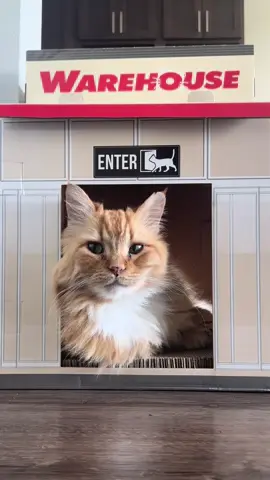 Sir Fur: Warehouse Manager