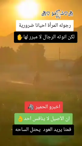 #‏﷼♡شُᬼآمًوٌ ♡﷼