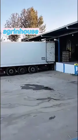 Discover the ultimate guide to importing high-quality bananas! 🍌 From sourcing the best varieties to navigating global supply chains, unlock tips for successful fruit trade and boost your business. Who's ready to go bananas over fresh imports?  #BananaImport #BananaExport #FreshBananas #ImportExport #FruitImport #Bananas #Fruit #HealthyFood #BusinessTips #SmallBusiness #ImportBusiness #InternationalTrade #Logistics #Exporters #Foodie #Yummy #Viral #FYP #ForYou #Trending #TikTokShop #TikTokViral #ForYouPage