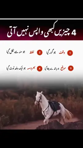 #ja rahy hain sanam#videoviral #viral #viral #