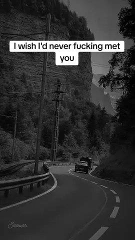 I wish I'd never fucking met you... #LanguageLearning #viralll #realmotivation #usa_tiktok #foryou 