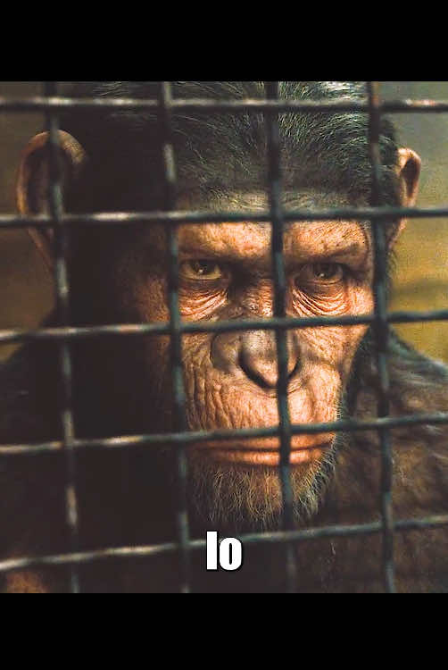 Cuando el orangután tiene sabiduría#peliculas #shorts #movie