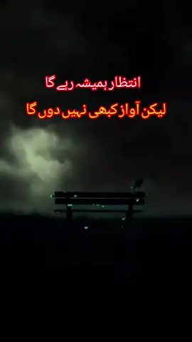 انتظار ہمیشہ رہے گا  لیکن آواز کبھی نہیں دوں گا#urdopoltry 