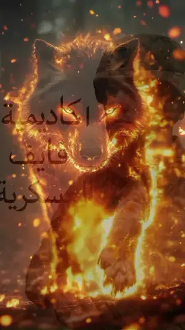 #اكاديـمـيـة فـايـف العسكـريـة 