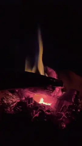 #تصويري📷 #صوت_قحطان 