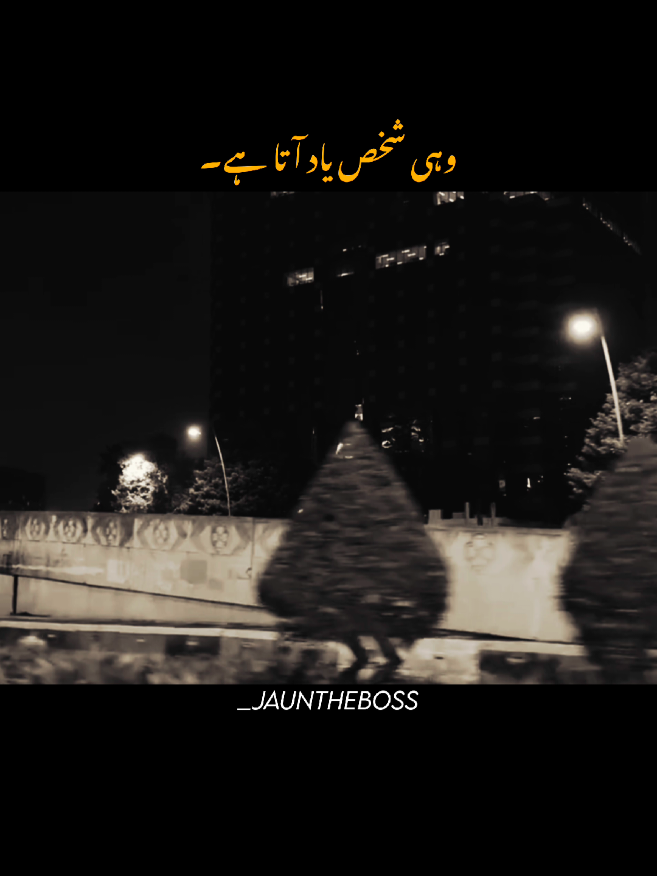 وہی شخص یاد آتا ہے۔🫠 #foryou #foryoupagе #fyp #aesthetic #poetry 